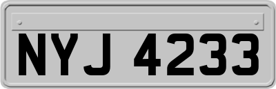 NYJ4233