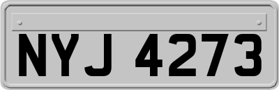 NYJ4273