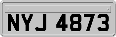 NYJ4873