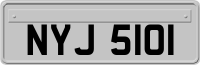 NYJ5101