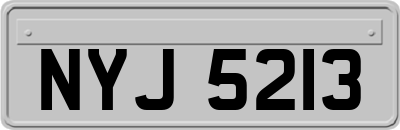 NYJ5213