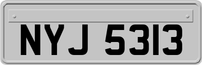 NYJ5313