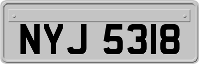 NYJ5318