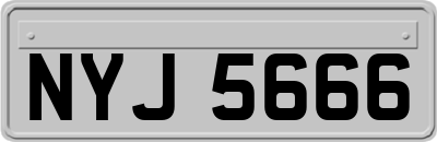 NYJ5666