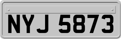 NYJ5873