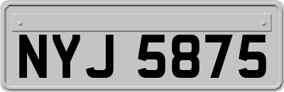 NYJ5875
