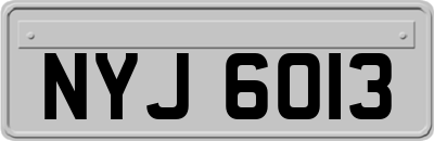 NYJ6013