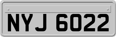 NYJ6022