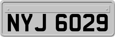 NYJ6029
