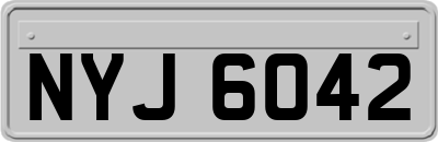 NYJ6042
