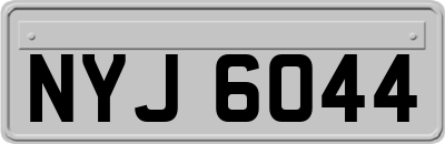 NYJ6044