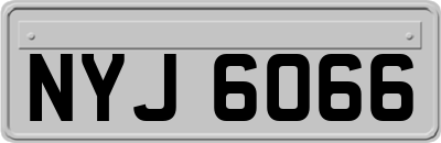 NYJ6066