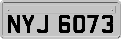 NYJ6073