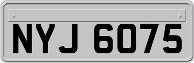 NYJ6075