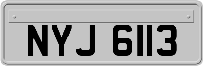 NYJ6113