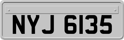 NYJ6135