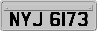 NYJ6173