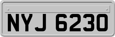 NYJ6230