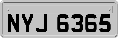 NYJ6365