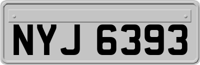 NYJ6393