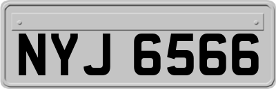 NYJ6566