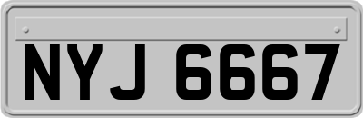 NYJ6667