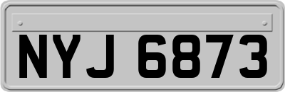 NYJ6873