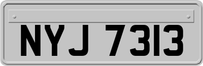 NYJ7313