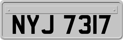 NYJ7317