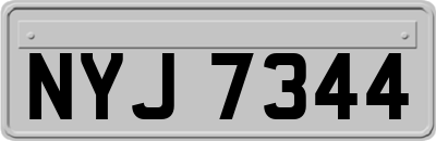 NYJ7344