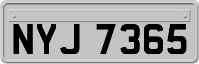 NYJ7365