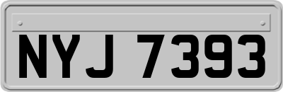 NYJ7393