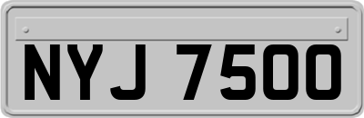 NYJ7500