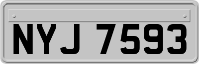 NYJ7593