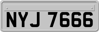 NYJ7666