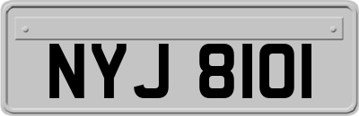 NYJ8101