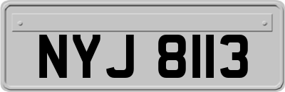 NYJ8113