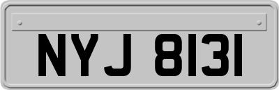NYJ8131
