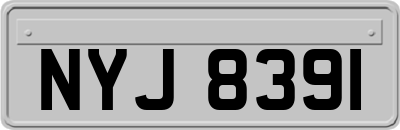 NYJ8391