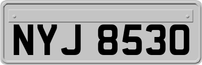 NYJ8530