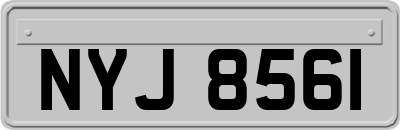 NYJ8561
