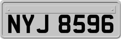 NYJ8596