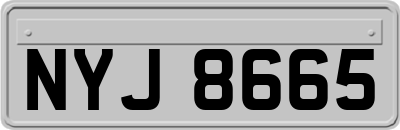 NYJ8665