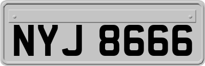 NYJ8666
