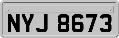 NYJ8673