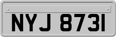 NYJ8731