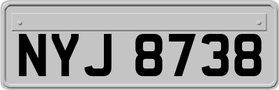 NYJ8738