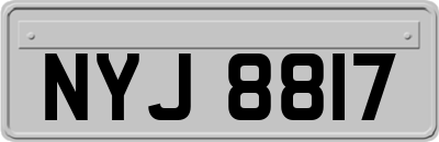 NYJ8817