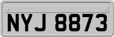 NYJ8873