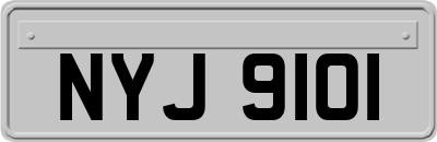 NYJ9101